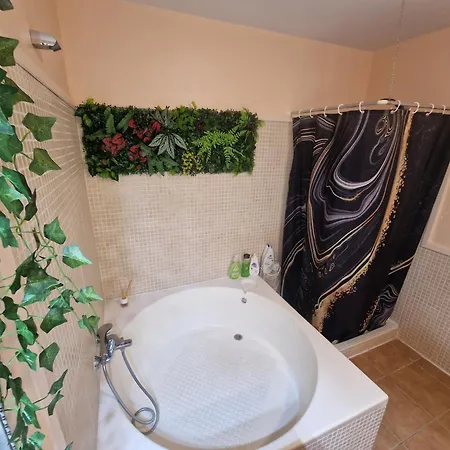 Apartman Biltmore Atico Luxury